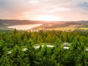 Stezka korunami stromů Lipno