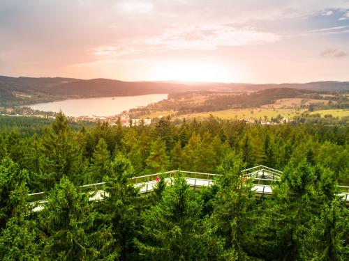 Stezka korunami stromů Lipno