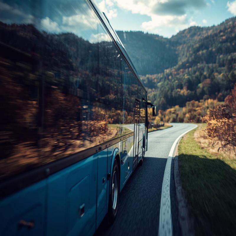 buslinka