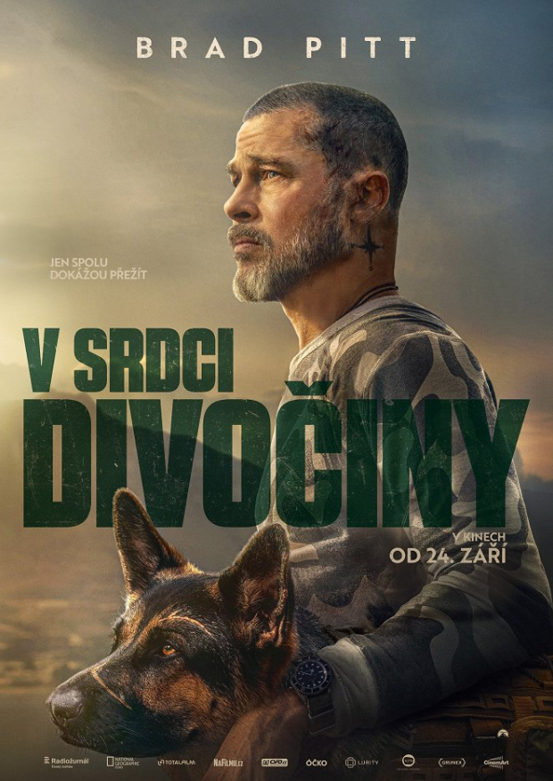 vsrdci